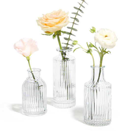 Lot de 3 vases à bourgeons en verre